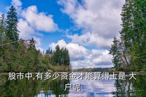 股票大戶(hù)潮汕,潮汕的股票為什么不能買(mǎi)