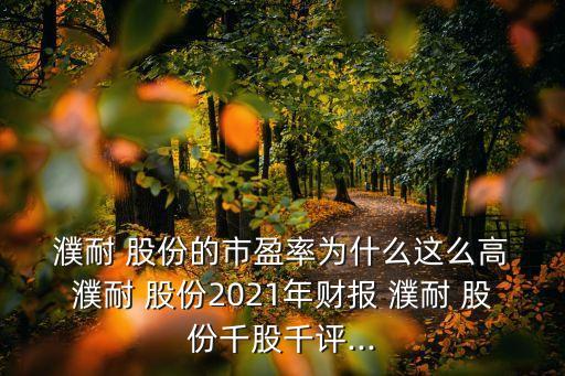  濮耐 股份的市盈率為什么這么高 濮耐 股份2021年財報 濮耐 股份千股千評...