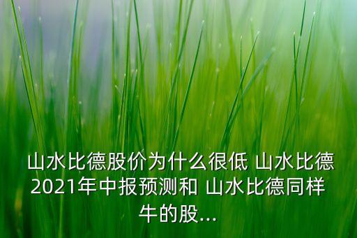  山水比德股價為什么很低 山水比德2021年中報預(yù)測和 山水比德同樣牛的股...