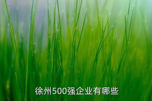  徐州500強(qiáng)企業(yè)有哪些