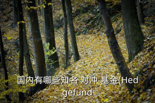 國內有哪些知名 對沖 基金(Hedgefund