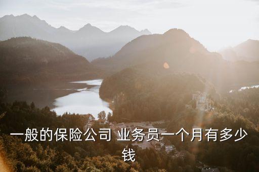 一般的保險(xiǎn)公司 業(yè)務(wù)員一個(gè)月有多少錢