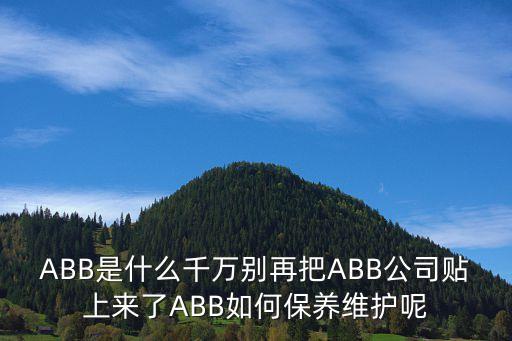 ABB是什么千萬別再把ABB公司貼上來了ABB如何保養(yǎng)維護(hù)呢