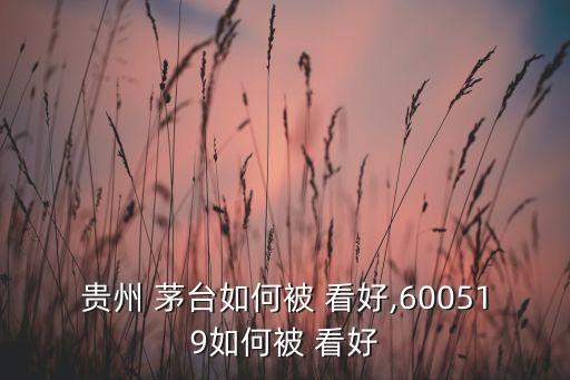 貴州 茅臺如何被 看好,600519如何被 看好