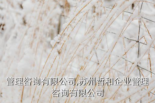 上哲管理咨詢(xún)有限公司,蘇州哲和企業(yè)管理咨詢(xún)有限公司