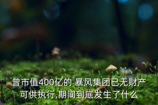 曾市值400億的 暴風(fēng)集團(tuán)已無(wú)財(cái)產(chǎn)可供執(zhí)行,期間到底發(fā)生了什么