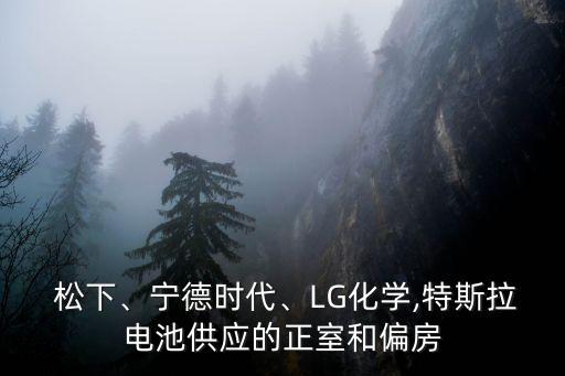  松下、寧德時(shí)代、LG化學(xué),特斯拉電池供應(yīng)的正室和偏房