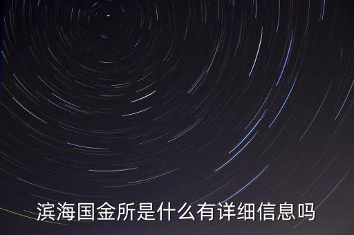 濱海國金所是什么有詳細(xì)信息嗎