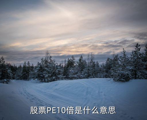 股票P(pán)E10倍是什么意思