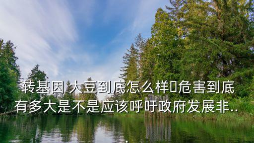  轉(zhuǎn)基因 大豆到底怎么樣?危害到底有多大是不是應該呼吁政府發(fā)展非...