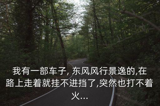 我有一部車子, 東風(fēng)風(fēng)行景逸的,在路上走著就掛不進擋了,突然也打不著火...