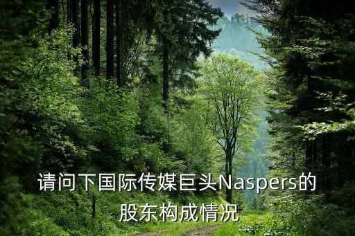 請問下國際傳媒巨頭Naspers的 股東構(gòu)成情況