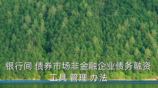 公司債券試點(diǎn)管理辦法,非公開(kāi)發(fā)行公司債券備案管理辦法