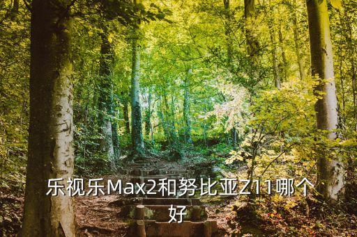  樂視樂Max2和努比亞Z11哪個(gè)好