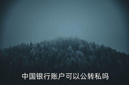  中國(guó)銀行賬戶可以公轉(zhuǎn)私嗎