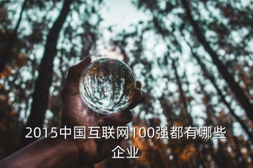 2015中國互聯(lián)網(wǎng)100強都有哪些企業(yè)