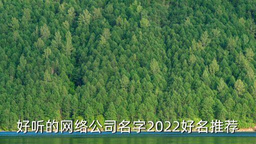 好聽的網(wǎng)絡(luò)公司名字2022好名推薦