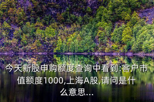 今天新股申購額度查詢中看到:客戶市值額度1000,上海A股,請問是什么意思...