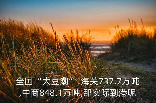 全國“大豆潮”!海關(guān)737.7萬噸,中商848.1萬噸,那實(shí)際到港呢