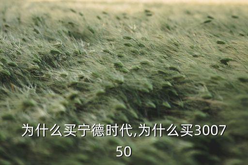 為什么買(mǎi)寧德時(shí)代,為什么買(mǎi)300750