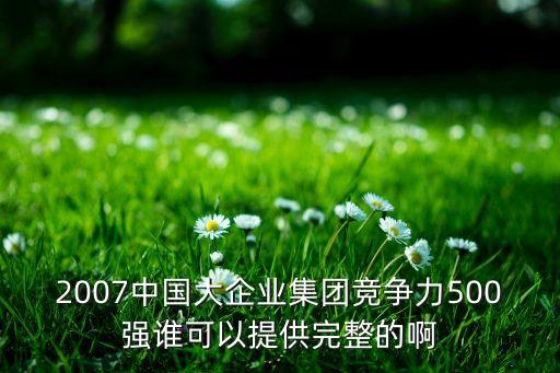 2007中國大企業(yè)集團(tuán)競(jìng)爭(zhēng)力500強(qiáng)誰可以提供完整的啊