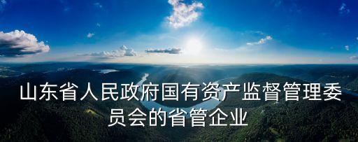  山東省人民政府國(guó)有資產(chǎn)監(jiān)督管理委員會(huì)的省管企業(yè)