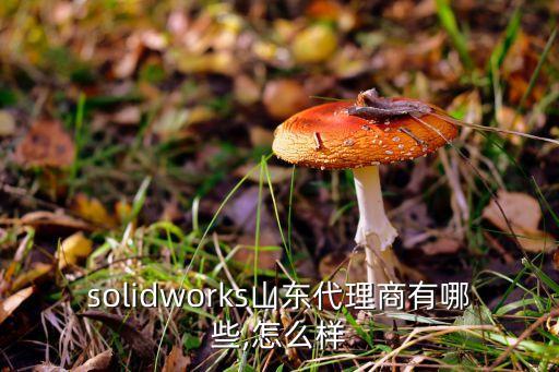 solidworks山東代理商有哪些,怎么樣