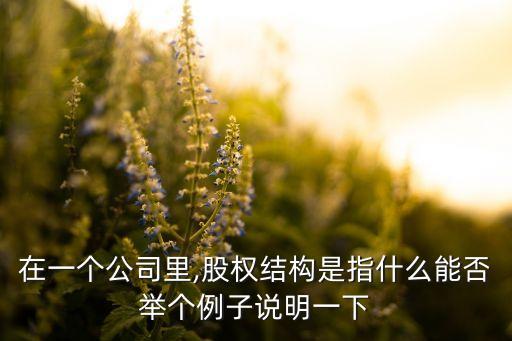 在一個(gè)公司里,股權(quán)結(jié)構(gòu)是指什么能否舉個(gè)例子說明一下