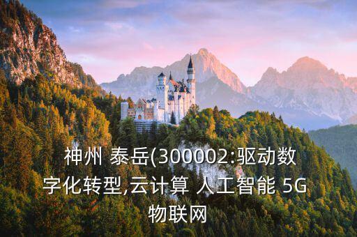  神州 泰岳(300002:驅(qū)動數(shù)字化轉(zhuǎn)型,云計算 人工智能 5G 物聯(lián)網(wǎng)