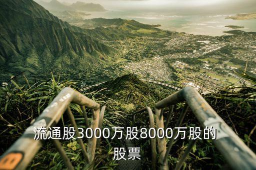 流通股3000萬股8000萬股的 股票