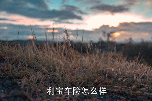 利寶保險(xiǎn)有限公司北京分公司