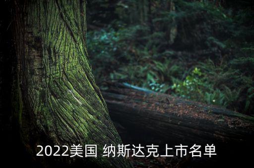 2022美國 納斯達(dá)克上市名單