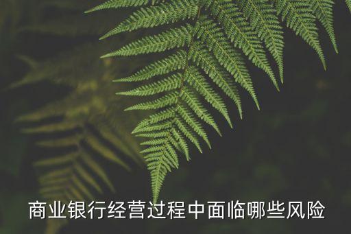  商業(yè)銀行經營過程中面臨哪些風險