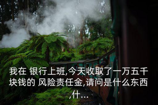 我在 銀行上班,今天收取了一萬五千塊錢的 風險責任金,請問是什么東西,什...