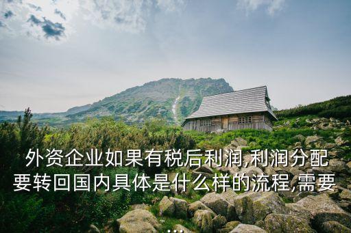  外資企業(yè)如果有稅后利潤,利潤分配要轉(zhuǎn)回國內(nèi)具體是什么樣的流程,需要...