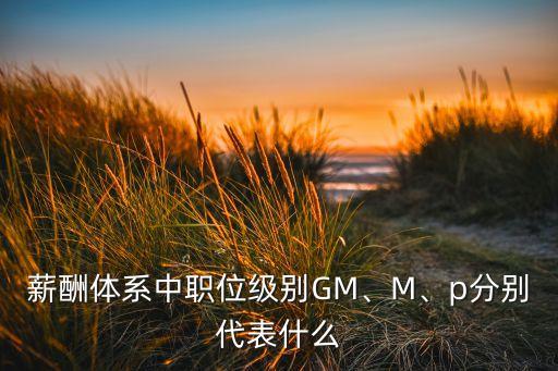 薪酬體系中職位級別GM、M、p分別代表什么