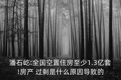 潘石屹:全國空置住房至少1.3億套!房產(chǎn) 過剩是什么原因?qū)е碌? class=